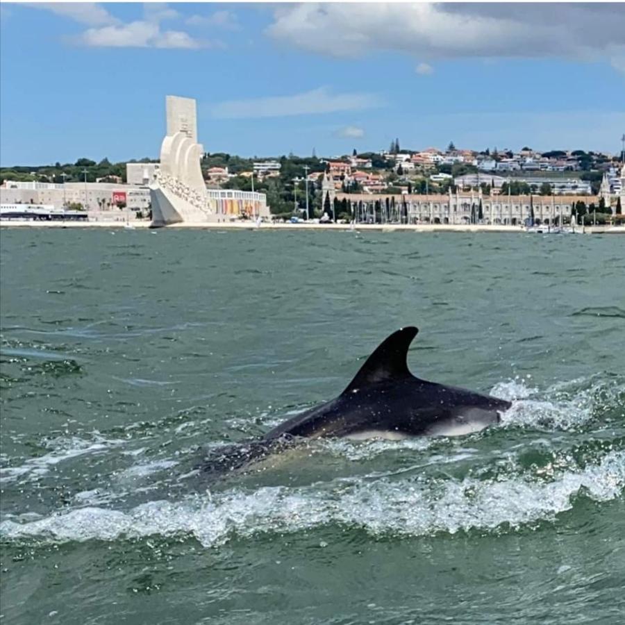 Besthomestay- Caparica Beach Lisbon Αλμάδα Εξωτερικό φωτογραφία