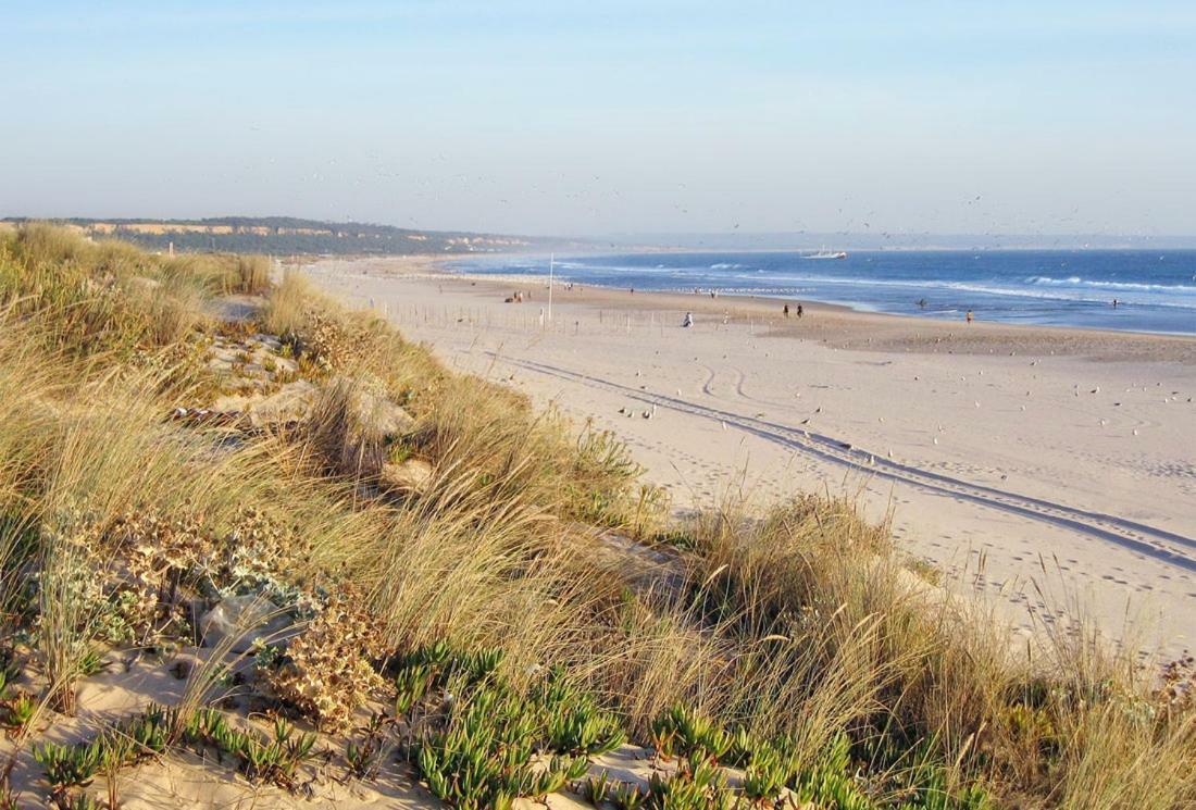 Besthomestay- Caparica Beach Lisbon Αλμάδα Εξωτερικό φωτογραφία